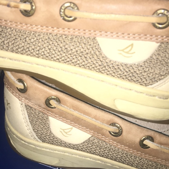 Sperry's angel fish (SEND OFFERS) - Picture 4 of 5